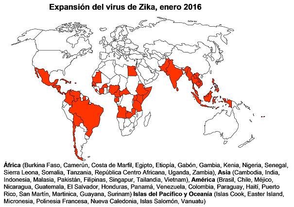 virus-zica-imagen